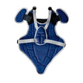 Wilson EZ Gear 2.0 Catchers Gear Kit
