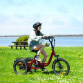 Addmotor Folding Electric Trike, 90MI Electric Tricycle for Adults, 750W 48V 20ah, CITYTRI 3 Wheel Electric Bikes, Step - Thru Etrike with Rear Speed Differential & Parking Brake, E - 310 Plus Red